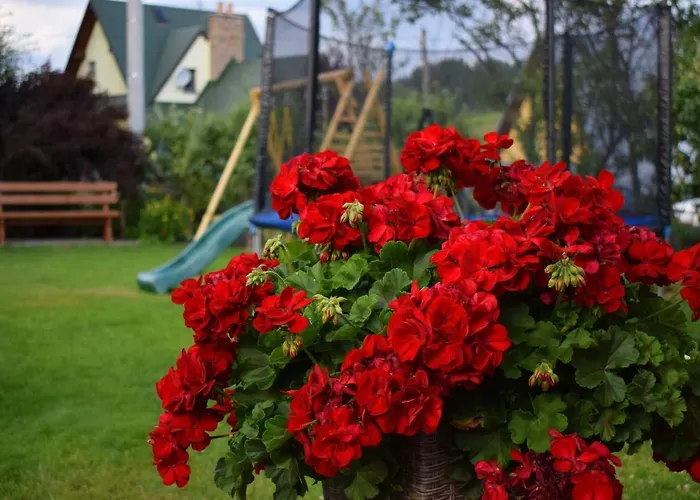 I U Lucyny Pansiyon Czarna Góra